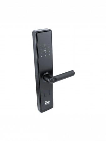 УМНЫЙ ЗАМОК Gimmel F20 DM60 TTLock 